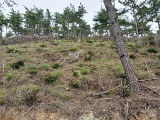 채용묵님의 기타작물 · 영농일지 작성글 사진