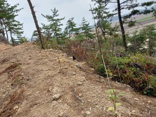 채용묵님의 기타작물 · 영농일지 작성글 사진