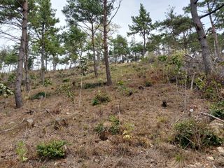 채용묵님의 기타작물 · 영농일지 작성글 사진