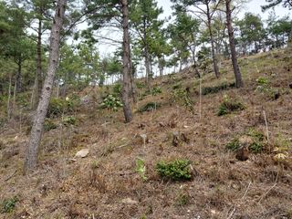 채용묵님의 기타작물 · 영농일지 작성글 사진