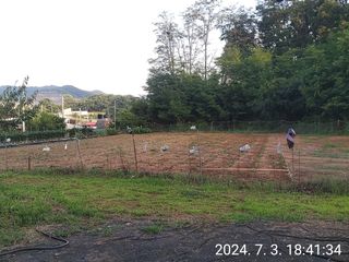 김성구님의 들깨 · 영농일지 작성글 사진