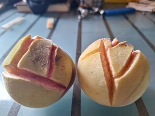 예언자님의 복숭아 · 병해충상담 작성글 사진