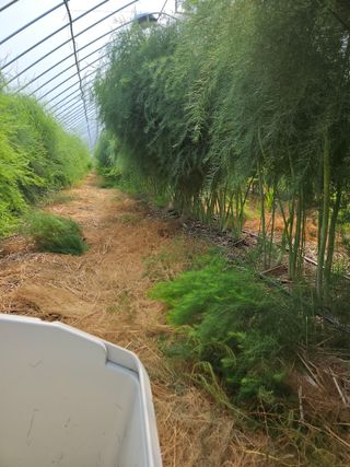 알 수 없음님의 기타작물 · 영농일지 작성글 사진