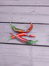 팜모닝 고추·병해충상담 게시글 이미지