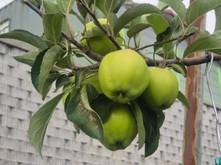 양금님의 자유주제 · 자유게시판 작성글 사진