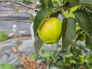 양금님의 자유주제 · 자유게시판 작성글 사진