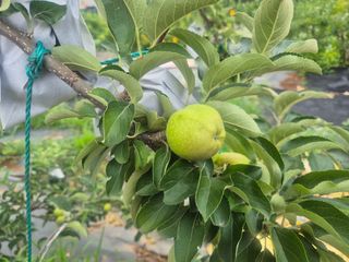 양금님의 자유주제 · 자유게시판 작성글 사진