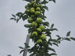 양금님의 자유주제 · 자유게시판 작성글 사진