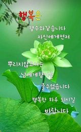 팜모닝 자유주제·자유게시판 게시글 이미지