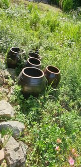 팜모닝 감·영농일지 게시글 이미지