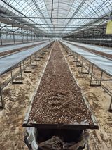 팜모닝 딸기·영농일지 게시글 이미지