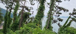 김안재님의 자유주제 · 자유게시판 작성글 사진