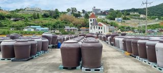 김안재님의 자유주제 · 자유게시판 작성글 사진