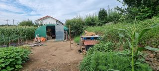 김안재님의 자유주제 · 자유게시판 작성글 사진