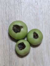 팜모닝 농사, 무엇이든 물어보세요!·참여글 게시글 이미지