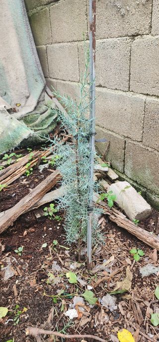 최동식님의 기타작물 · 영농일지 작성글 사진