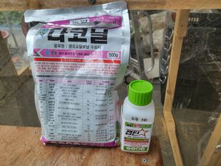 장두학님의 고추 · 영농일지 작성글 사진