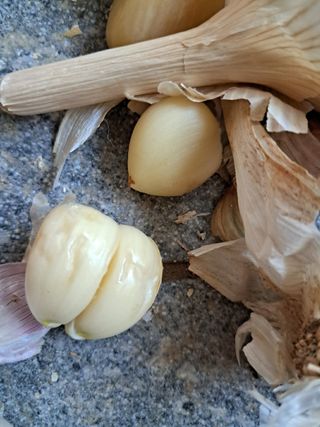 골든벨님의 마늘 · 영농일지 작성글 사진