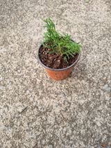 팜모닝 자유주제·자유게시판 게시글 이미지