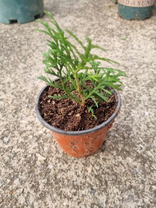 이범신님의 자유주제 · 자유게시판 작성글 사진