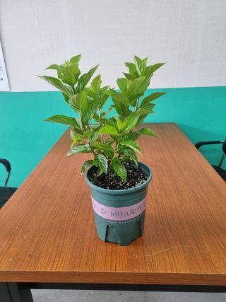 이범신님의 자유주제 · 자유게시판 작성글 사진