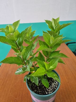 이범신님의 자유주제 · 자유게시판 작성글 사진