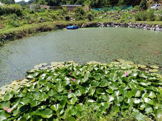 송곡농원님의 자유주제 · 자유게시판 작성글 사진