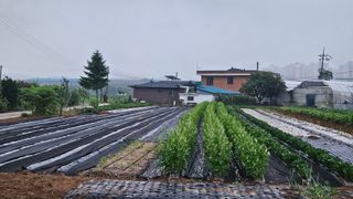 김동현님의 자유주제 · 자유게시판 작성글 사진