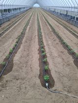 팜모닝 콩·영농일지 게시글 이미지