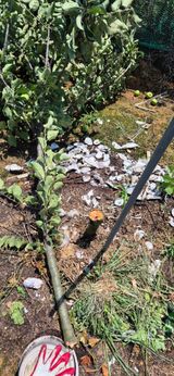 팜모닝 자유주제·자유게시판 게시글 이미지