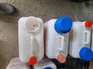 오소리와꿀벌들님의 작성글 사진