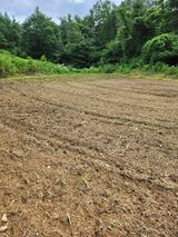 팜모닝 들깨·영농일지 게시글 이미지