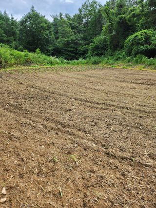 김갑임님의 들깨 · 영농일지 작성글 사진