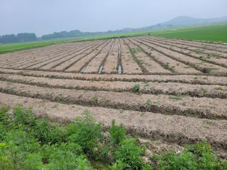 장남복님의 기타작물 · 영농일지 작성글 사진