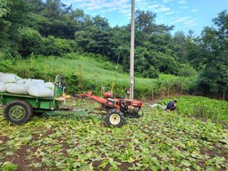 돌산갓스타님의 기타작물 · 영농일지 작성글 사진