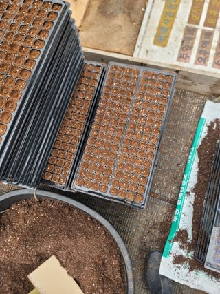 이석기님의 들깨 · 영농일지 작성글 사진