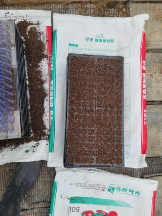 이석기님의 들깨 · 영농일지 작성글 사진