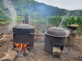 마평 농원님의 자유주제 · 자유게시판 작성글 사진