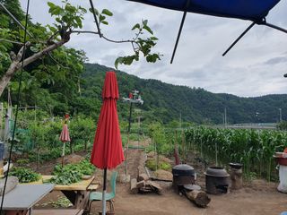 마평 농원님의 자유주제 · 자유게시판 작성글 사진