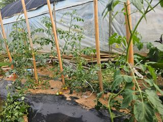 양간다리님의 자유주제 · 사진전 작성글 사진