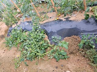 양간다리님의 자유주제 · 사진전 작성글 사진