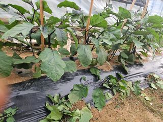 양간다리님의 자유주제 · 사진전 작성글 사진