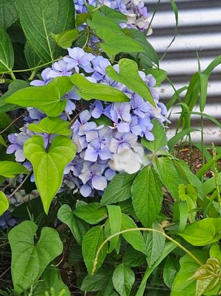 양간다리님의 자유주제 · 사진전 작성글 사진