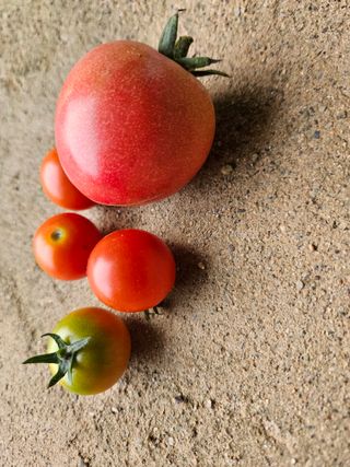 양간다리님의 자유주제 · 사진전 작성글 사진