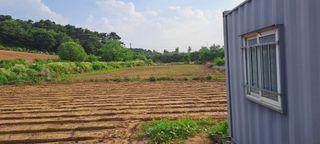 이문희님의 들깨 · 영농일지 작성글 사진