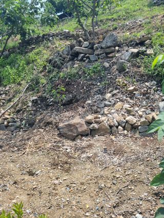 김용대님의 자유주제 · 자유게시판 작성글 사진