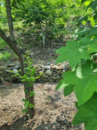 김용대님의 자유주제 · 자유게시판 작성글 사진