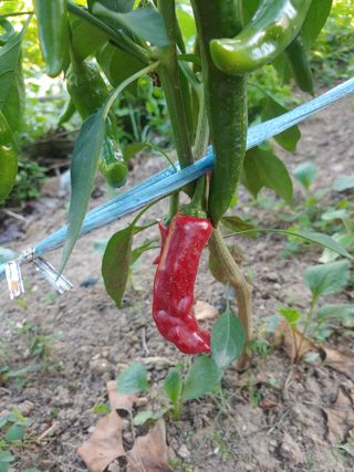 박상현님의 자유주제 · 자유게시판 작성글 사진