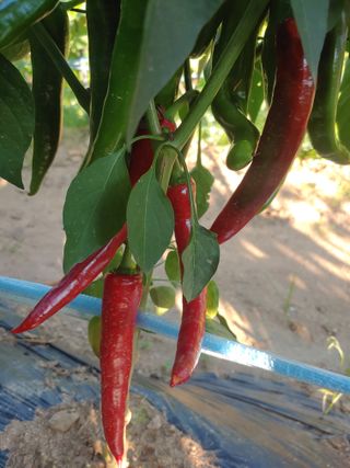 박상현님의 자유주제 · 자유게시판 작성글 사진