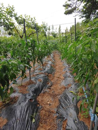 박상현님의 자유주제 · 자유게시판 작성글 사진